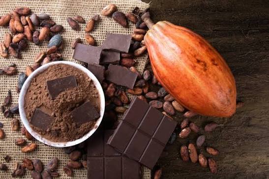 Dark chocolate and cocoa beans