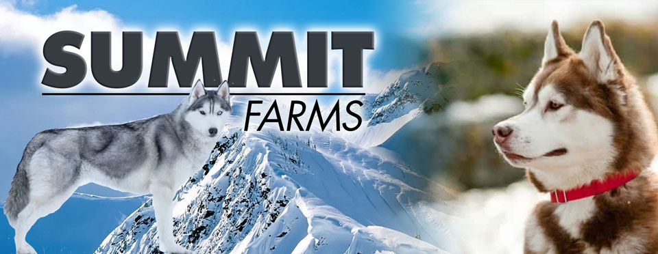 Summit Farms Rescue Banner